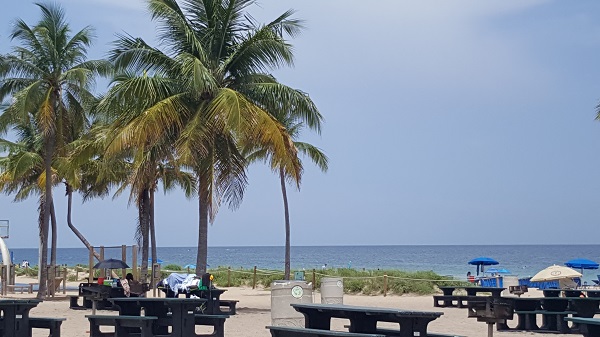 Picnic at Fort Laudedale beach park